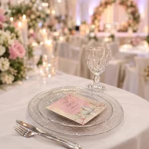 شوپلیت و پیش دستی نقره ای