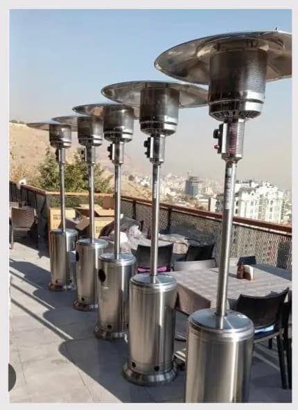 بخاری قارچی و چتری
